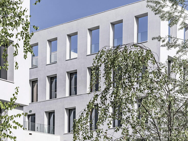 Modern white JED Schlieren façade with narrow windows and leafy tree in foreground
