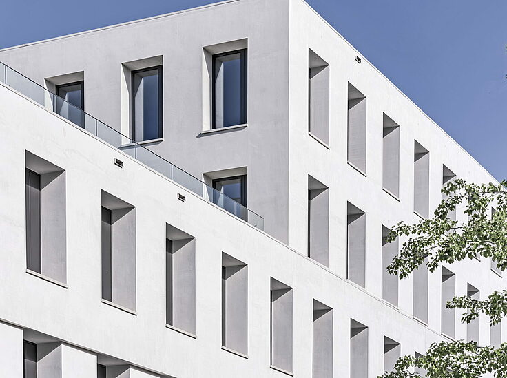 Weisse Fensterfassade des JED Schlieren mit grünem Baumzweig im Vordergrund